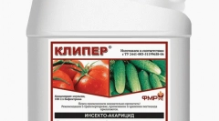 Мермер бубачка: опис и мерки на борба